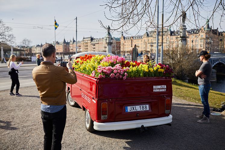 Blomsterbil