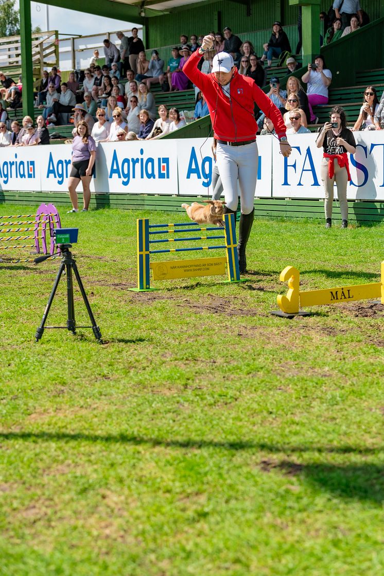 Kaniner - Erik Raabe-6534.jpg