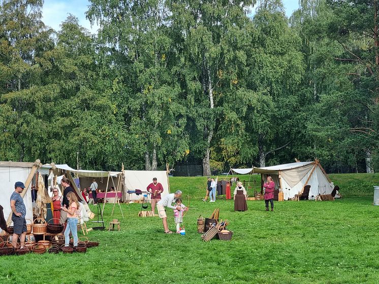 Gjallarstadir Vikinglag Foto Lasse Wallstedt