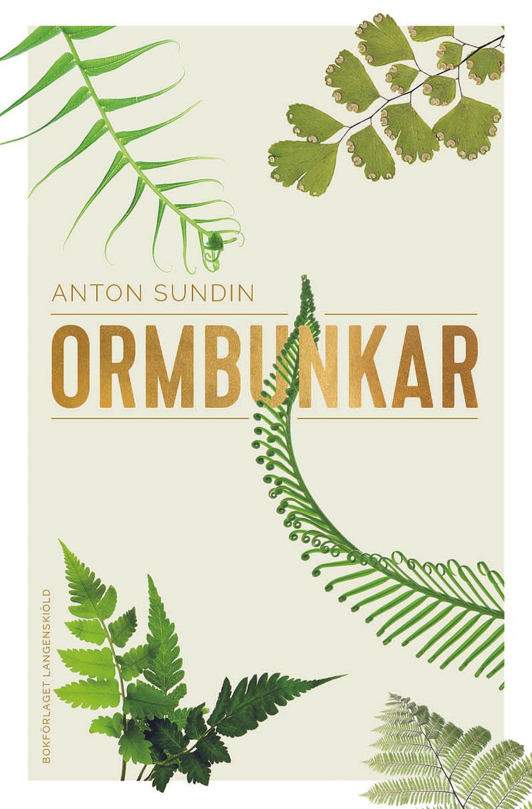 Omslagsbild: Ormbunkar