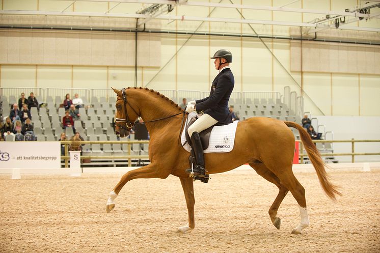 Jan Brink och RayMore i 7-års finalen på Elmia Scandinavian Horse Show.