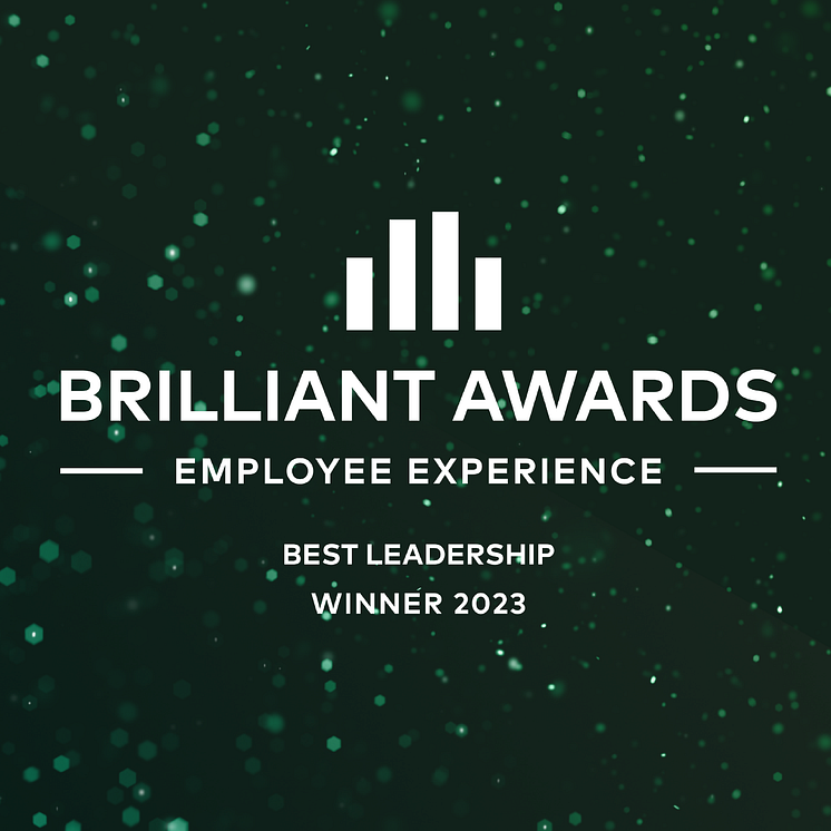Brilliant Awards Employee Experience Best Leadership Winner 2023_green