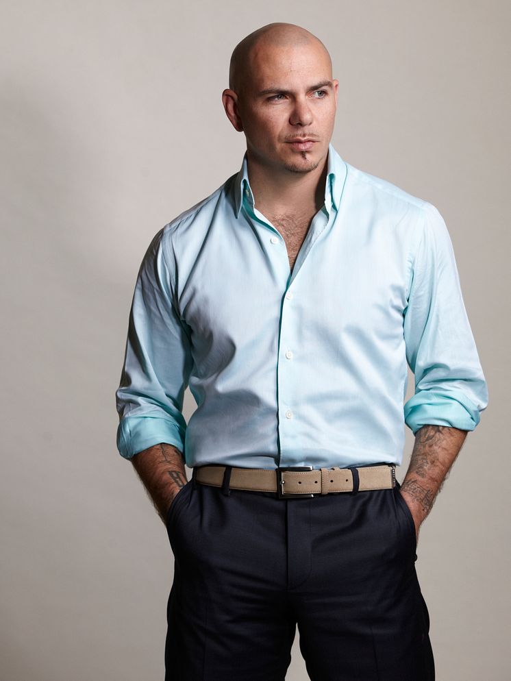 Pitbull - pressbild