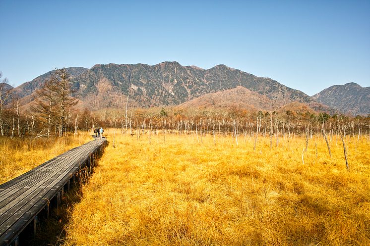 Senjogahara Marshland