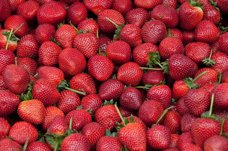 mnd-bluegaz-alla-hjärtans-dag-tips-jordgubbar