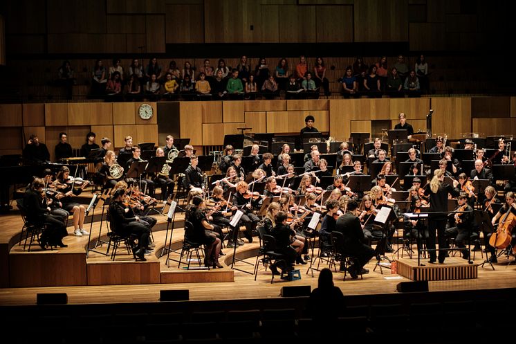 Skånes Ungdomssymfoniorkester Helbild