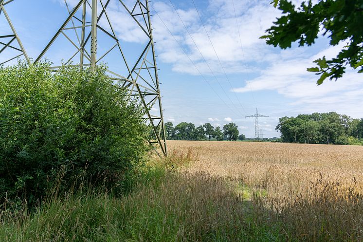 Mast in Cloppenburg_Essen