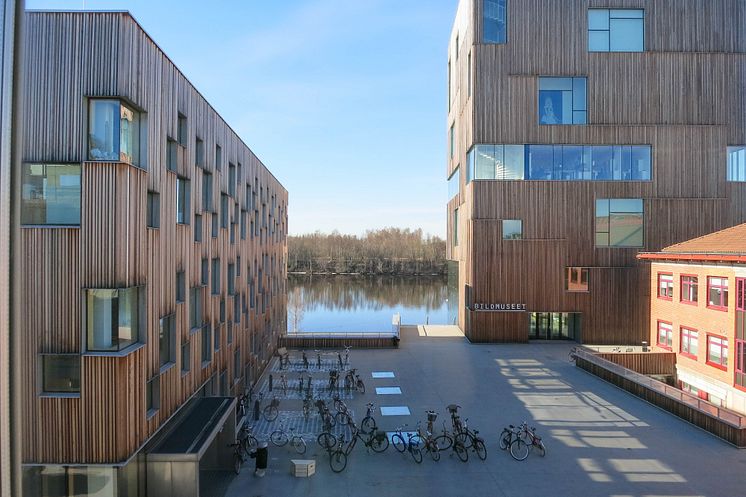 Arts Campus at Umeå University