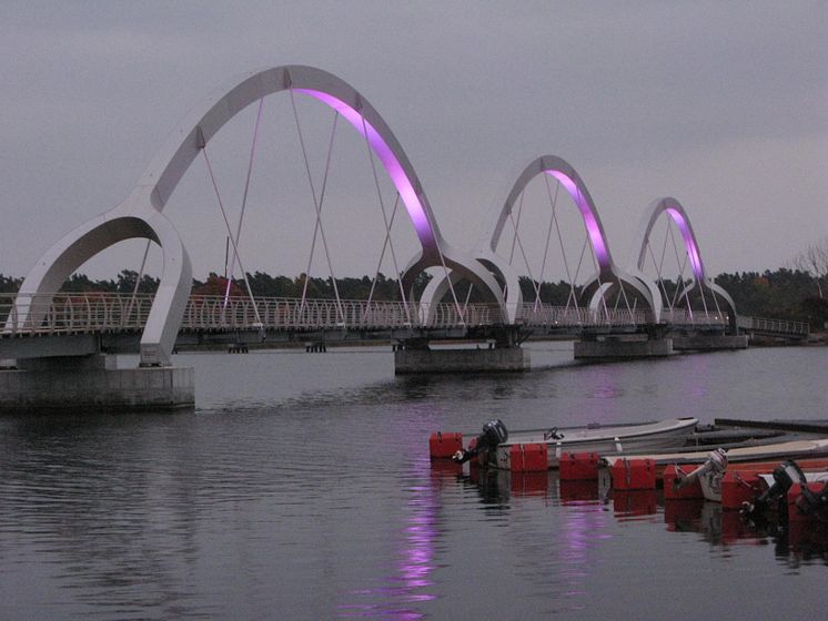 Världens längsta Rosa Band i Sölvesborg