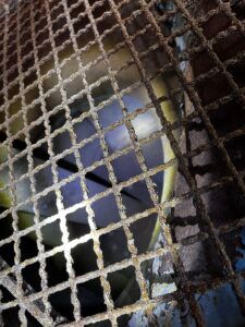Blog-Post_Clean-Fan_rust-225x300