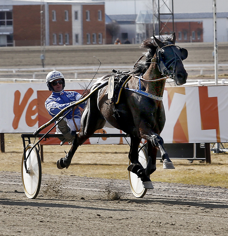 On Track Piraten