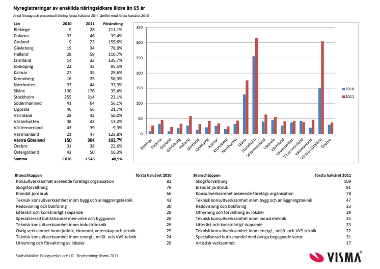 Vismas läns- och branschrapport över nyföretagandet bland pensionärer