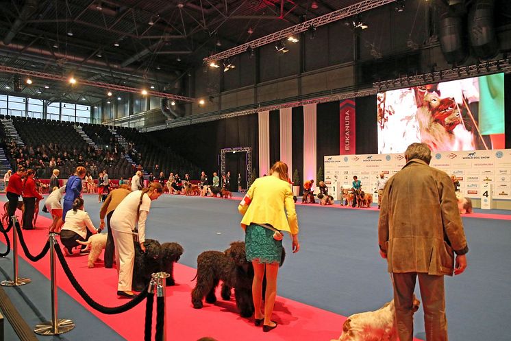 World Dog Show 2017 - Im Showring