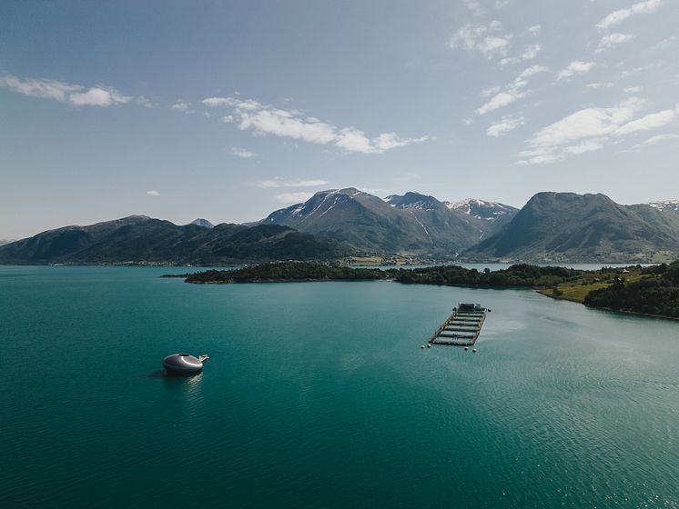 Salmon Eye in the fjord - Photo - John Asle E. Hansen