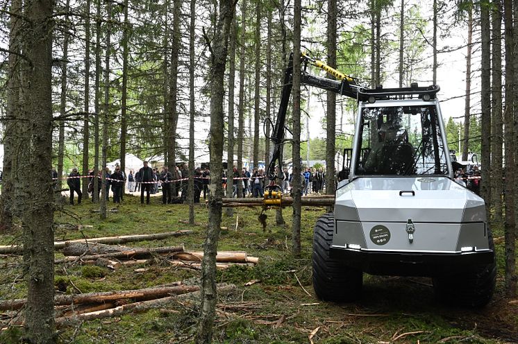 Elmia Wood Malwa elskotare.jpg