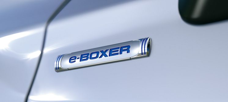 e-BOXER_teaser_picture