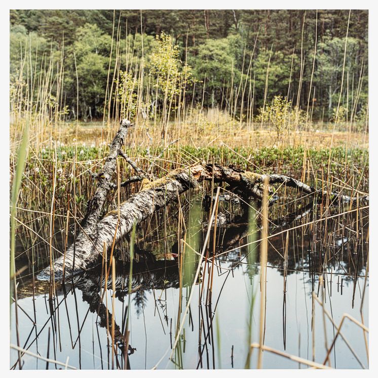 Mette Tronvoll, 10.05.24,Color photograph from color