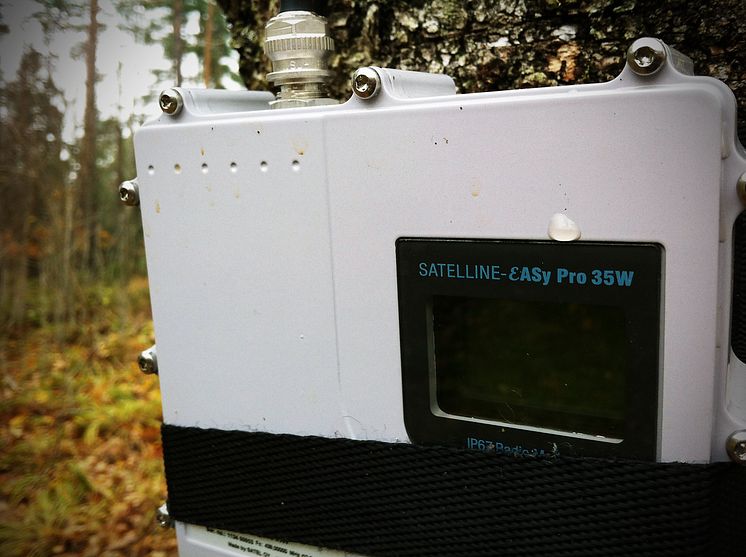 SATELLINE-EASy Pro monterad på en björk