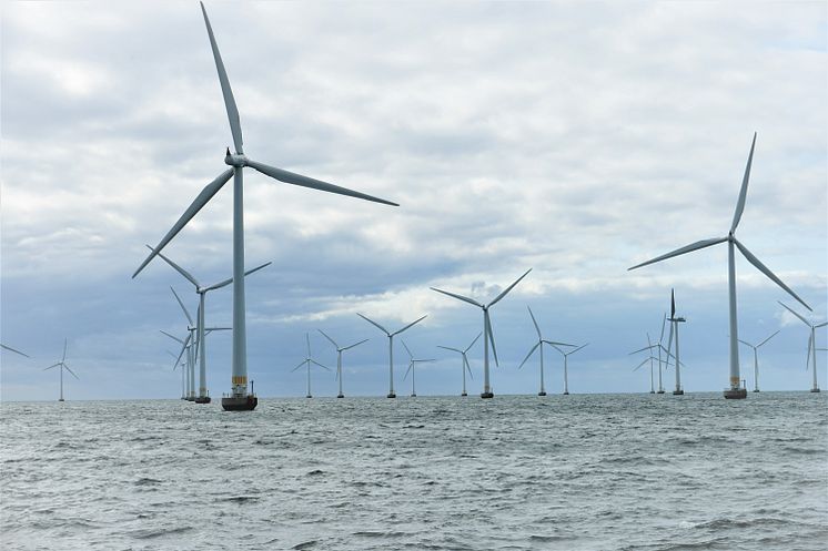 Planer för mer havsbaserad vindkraft går ut på samråd