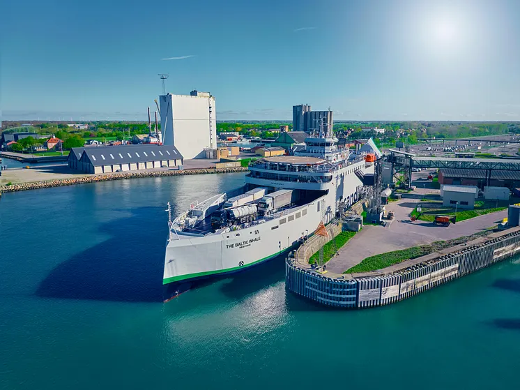 The Baltic Whale