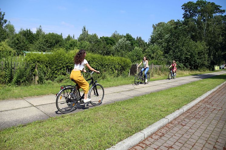 Mulderadweg bei Leisnig 