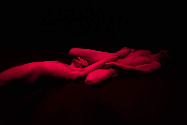 Dark Field Analysis / Jefta van Dinther