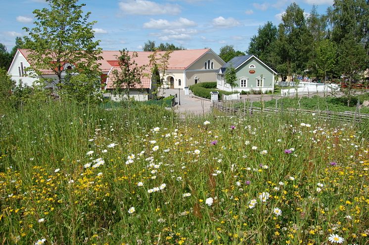 Äng_Astrid Lindgrens värld_Vimmerby