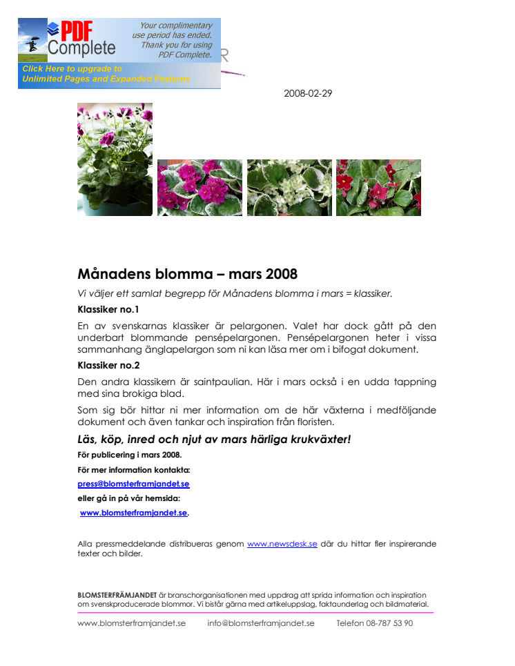 Månadens blomma – mars 2008