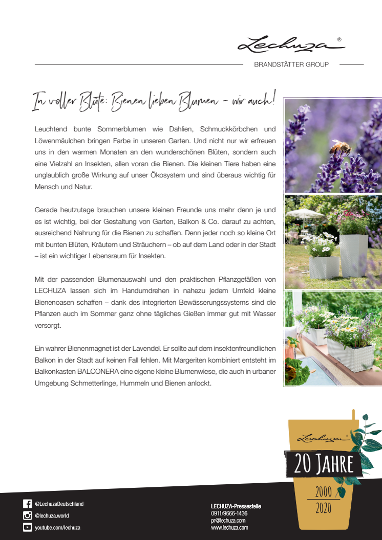 In voller Blüte: Bienen lieben Blumen - wir auch!