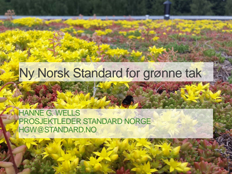 Temamøte overvann - Ny Norsk Standard for grønne tak - Hanne G Wells, Standard Norge