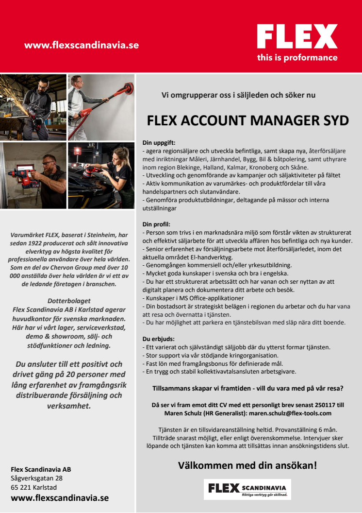 FLEX Account manager South_Flex Sc_241210.pdf