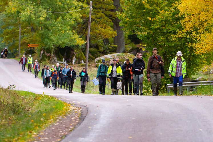 Naturvärdesinventerare från Calluna