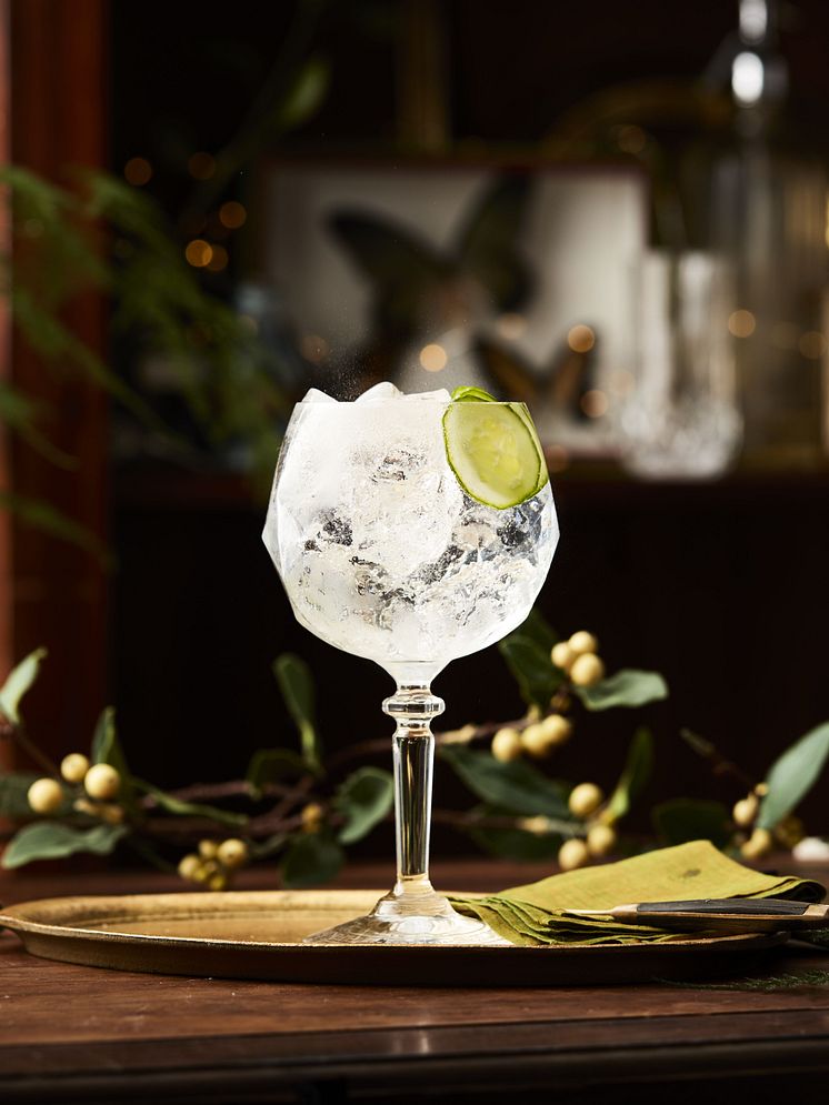 Hendrick's Gin & Tonic 3.jpg