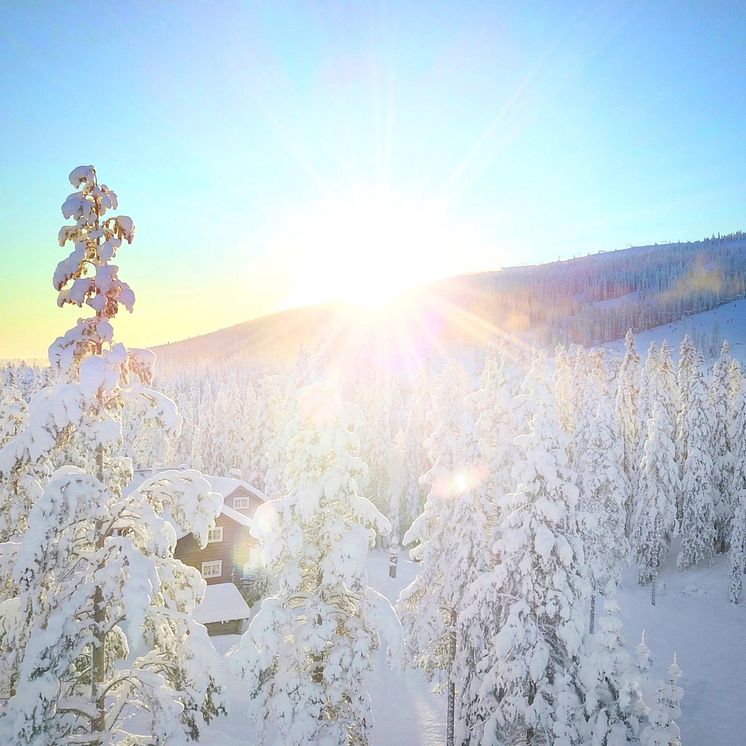 Sälen januari 2021