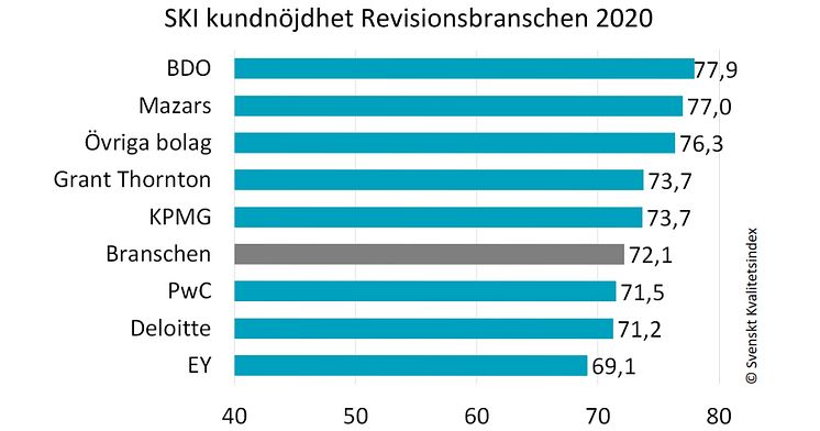 Revisionsbranschen 2020.jpg