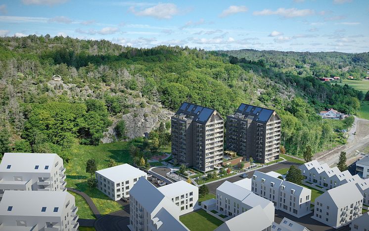 Konings_bakkae_vy_från_söder-original_R