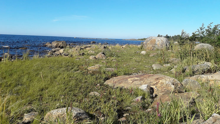 Naturlig strand vid Kont