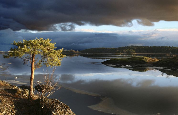 Norwegen bietet beste Bedingungen für den Betrieb von Datenzentren – in den zahlreichen Fjorden und Flüssen können Rechner optimal gekühlt und mit Energie aus Wasserkraft versorgt werden.