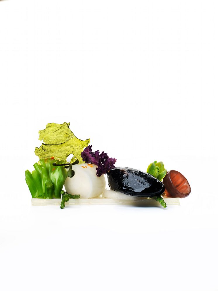 Sallad med blåmussla, vit sparris, broccoli och havsblad