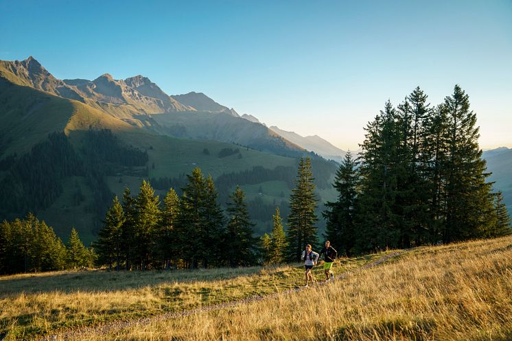 Fortuna Trail Tschenten in Adelboden