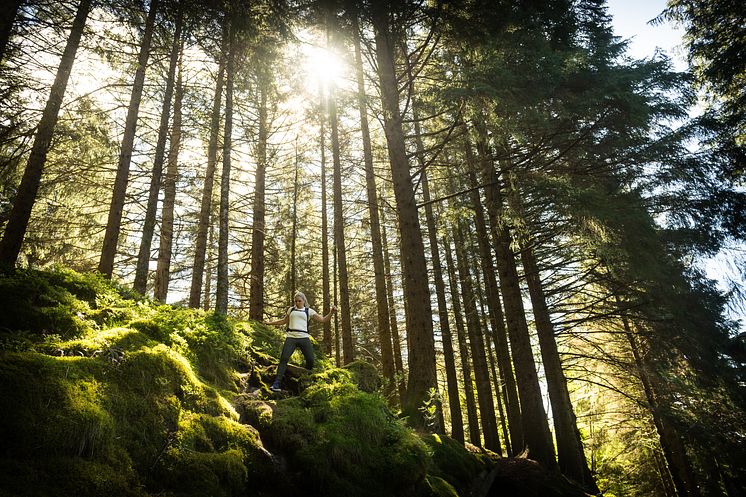 Bergans Fløyen Miljøbilde 3