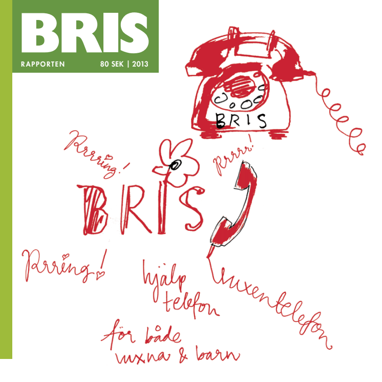 BRIS-rapporten 2013