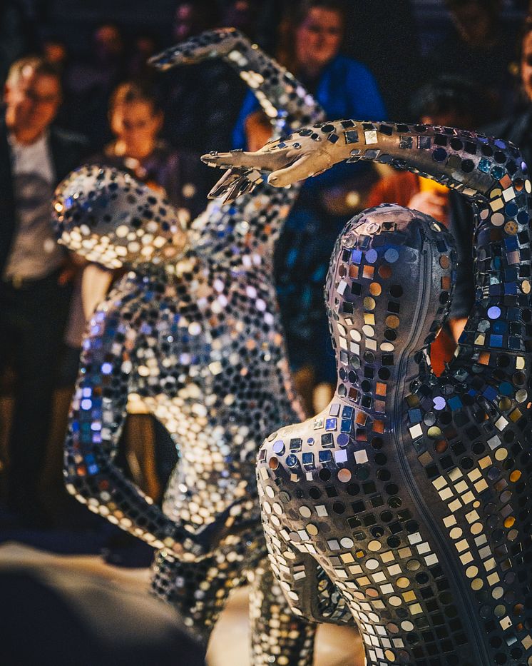Performance "Mobile Mirror"