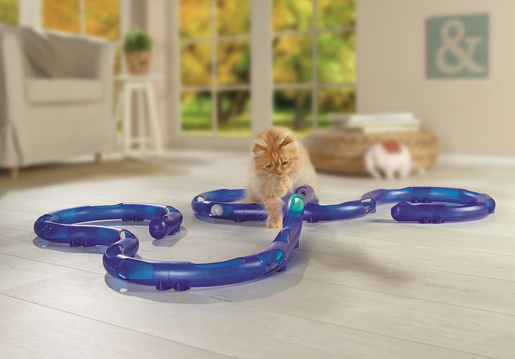 Maxi Zoo_AniOne_parcours_Circle