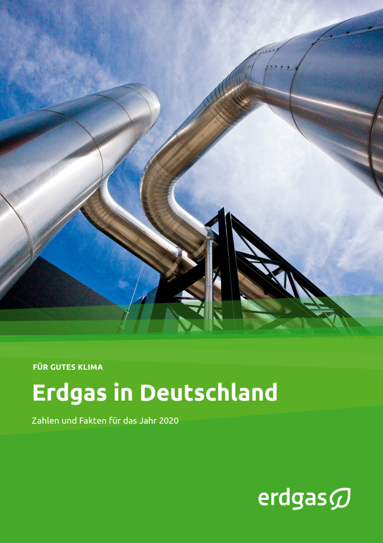 Faktenblatt "Erdgas in Deutschland 2020"