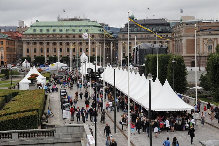 Blocketloppis 2013 -folkfest utanför Slottet