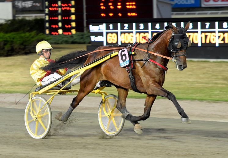 Bahia Quesnot klar för Elitloppet 2021