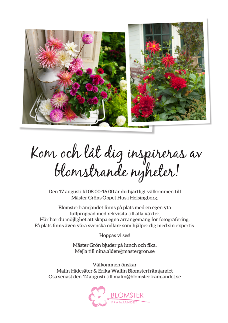 ​Kom och låt dig inspireras av blomstrande nyheter!