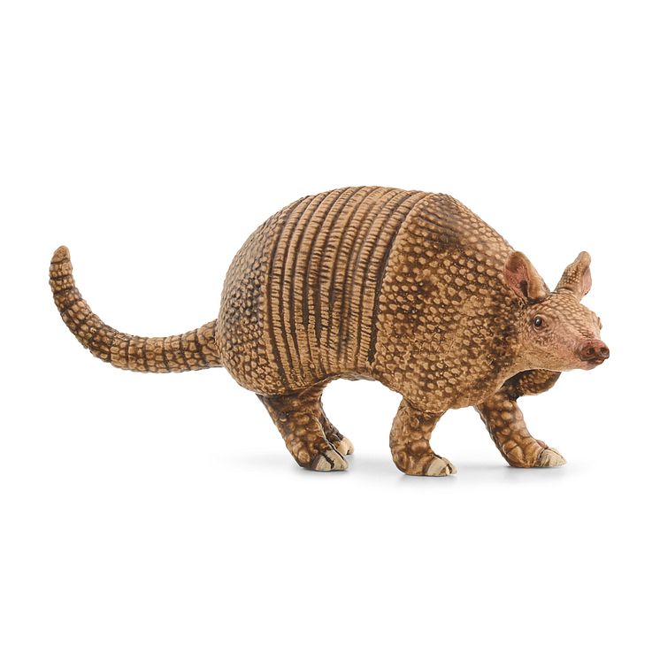 14874_Wild Life_Armadillo (c)Schleich
