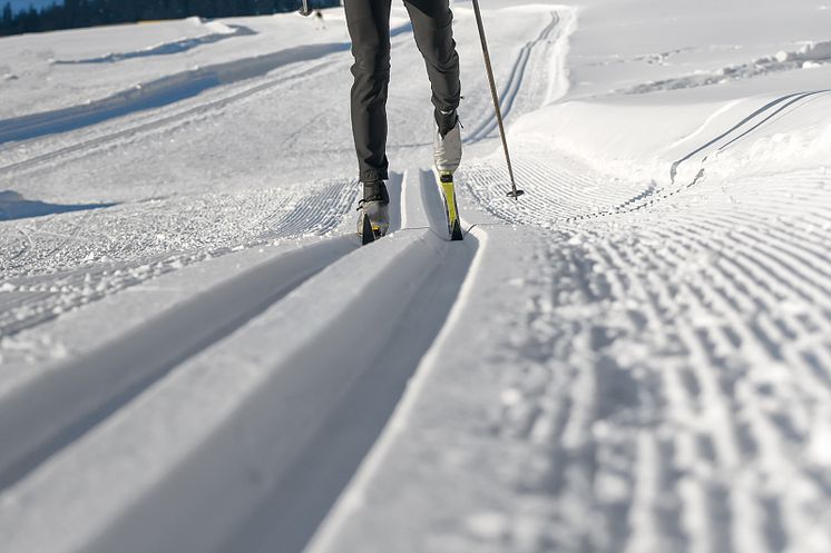 35504295-a-man-cross-country-skiing_1600x1067.jpg